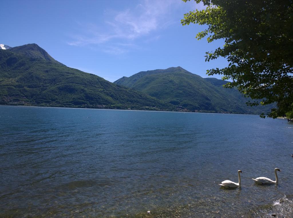 Apartmán Venanzio! Pianello Del Lario Exteriér fotografie